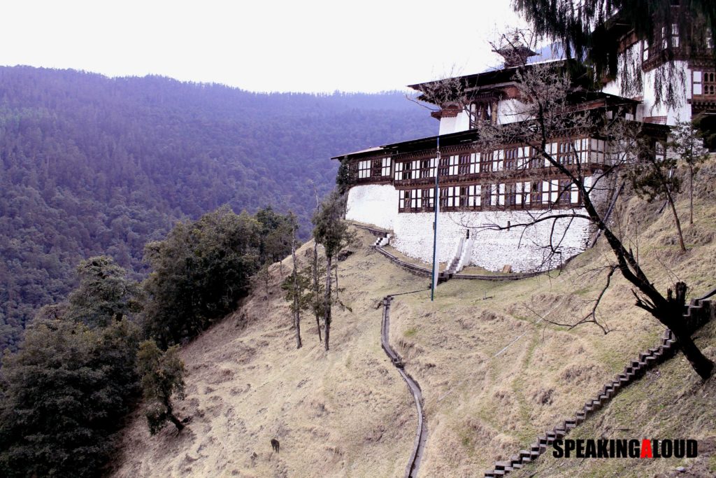 Jigme Dorji National Park Bhutan Tourism Trekking Guide