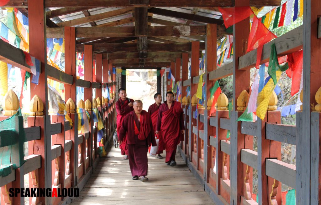 Jigme Dorji National Park Travel Guide