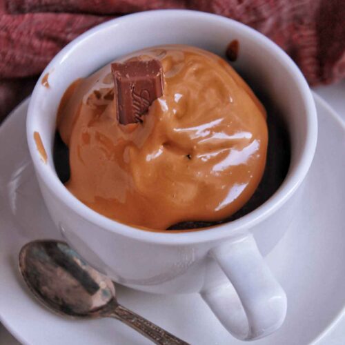 Chocolate Mocha Mug Cake