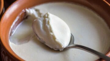 how to make homemade yogurt at home