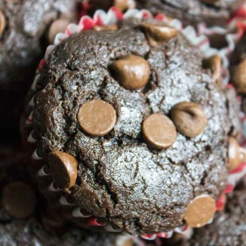 Double Chocolate Eggless Muffins